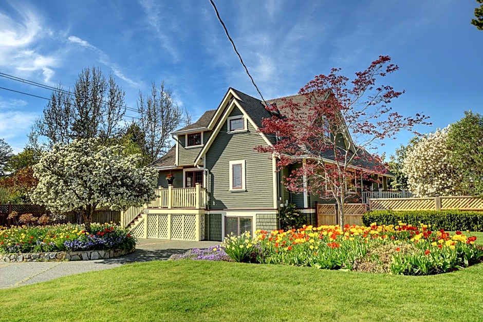 Character Stay across Swan Lake Nature Sanctuary