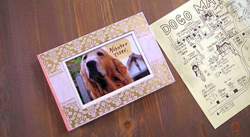 Cinnamon Guest House Dogo