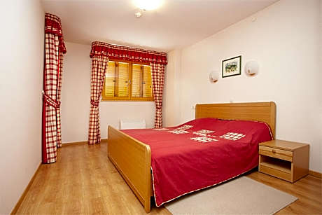 One-Bedroom Apartment with Fireplace and Balcony