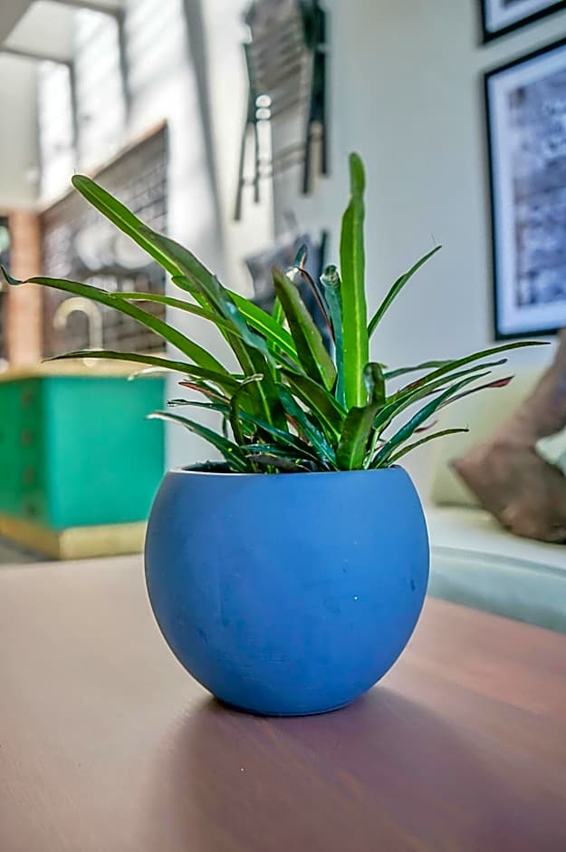 Hotel Posada de las Cuevas