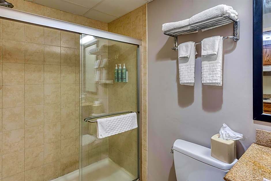 Best Western Owego Inn