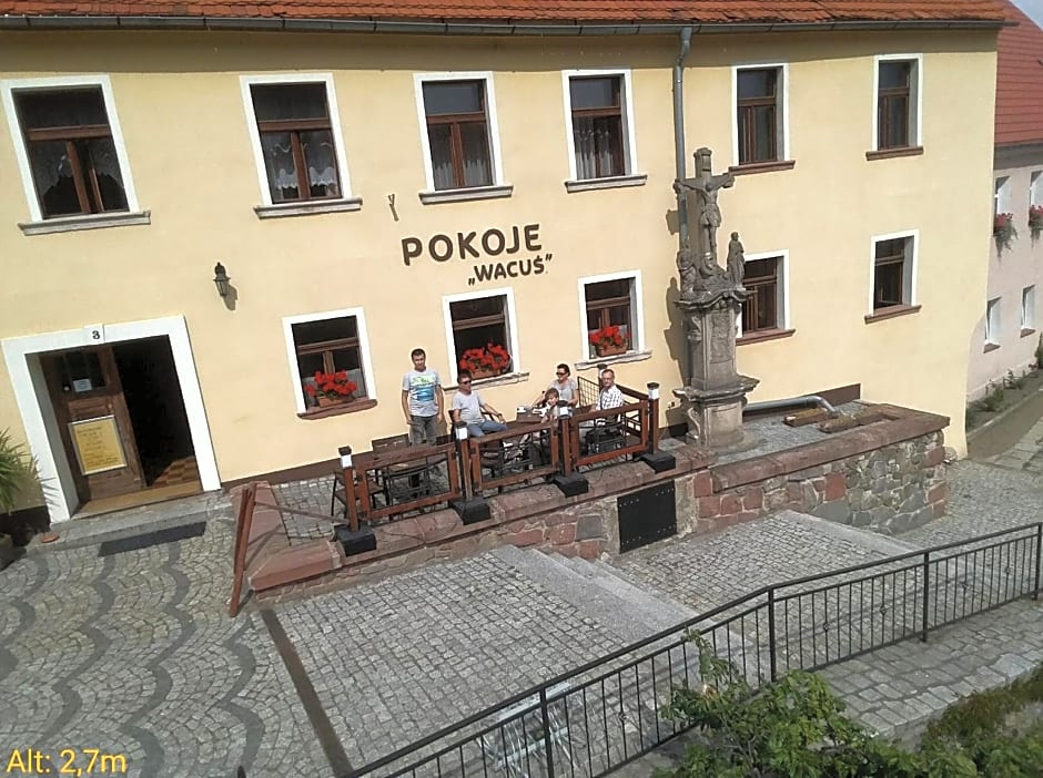 Apartamenty i pokoje gościnne "Wacuś"