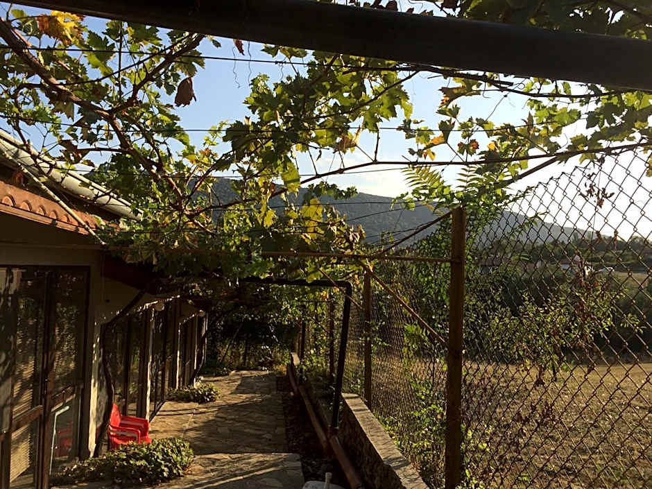 Family Hotel Belvedere