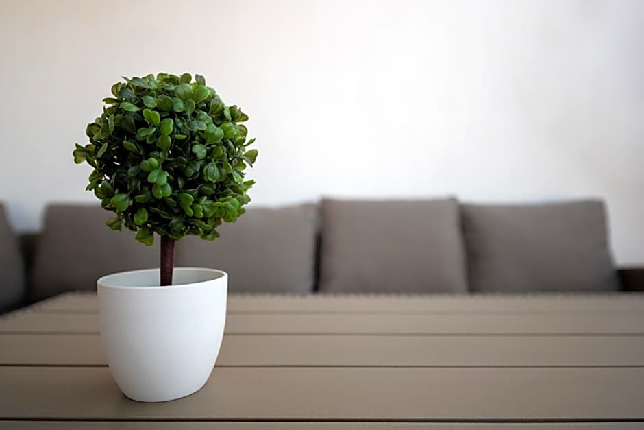 Terinikos Sunny Garden Hotel & Junior Suites New Renovation 2025