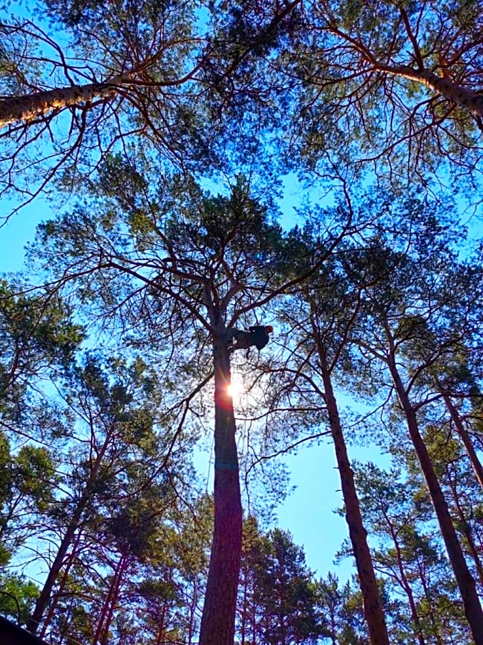 Leśniczówka-Wdzydze Pe eL