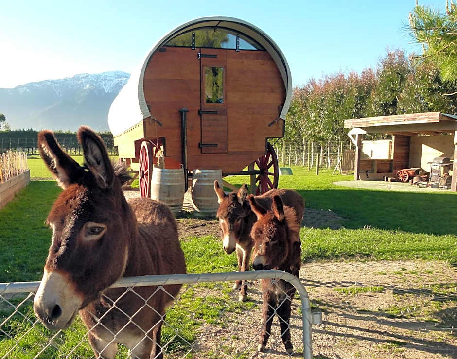Wacky Stays - unique farm-stay glamping rentals, FREE animal feeding tours