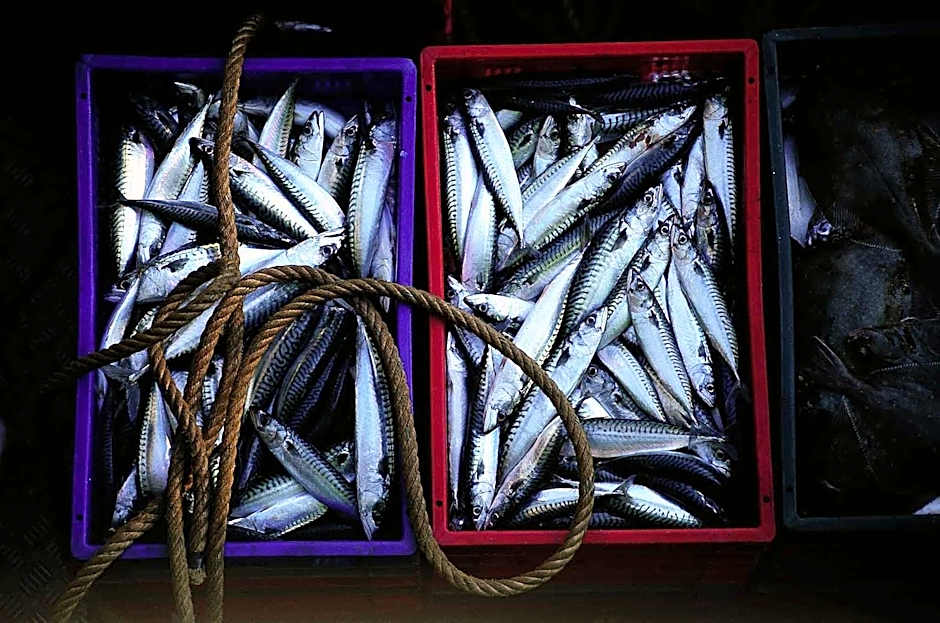 ibis Styles Ouistreham