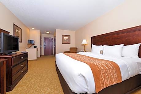 King Room - Non-Smoking