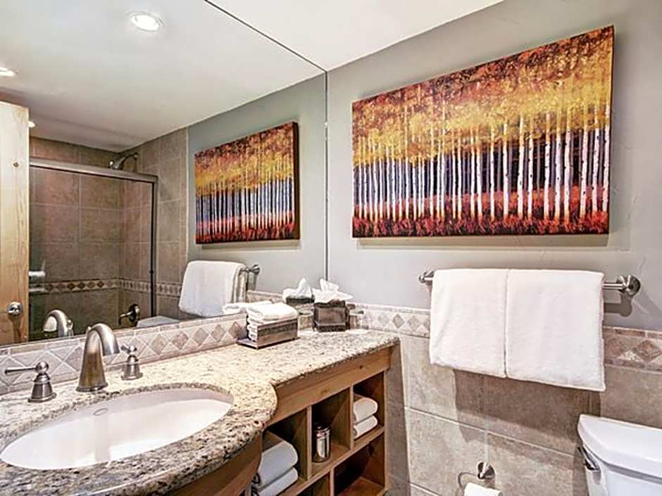 Photo 1 of 6 of Studio 1 Murphy Bed Lodge