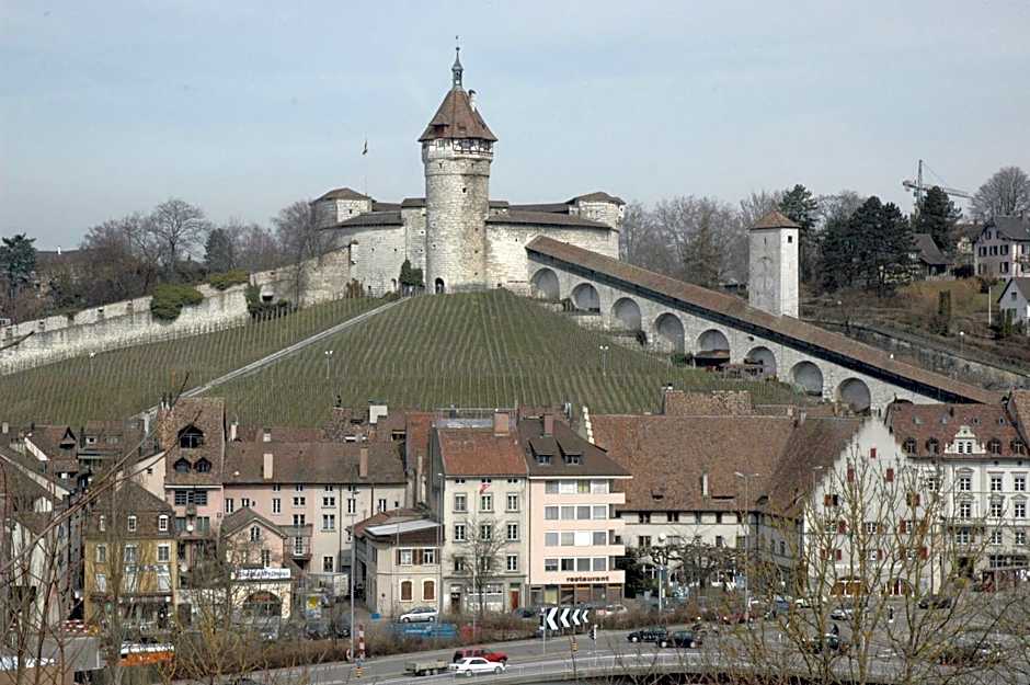 Back-Packer Federnhut