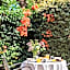 Park Hotel Argento