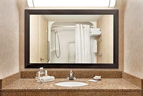 Royal Hotel West Edmonton, Trademark Collection by Wyndham