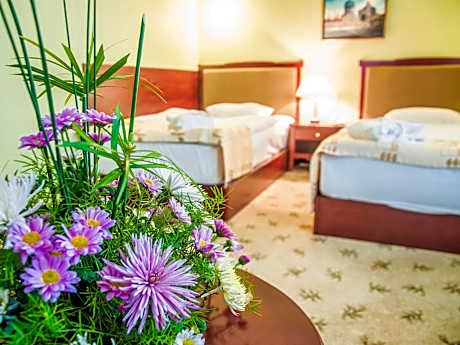 Premium Twin Room