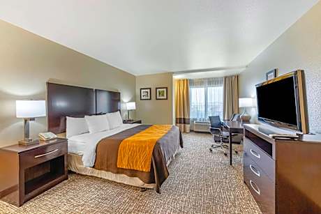 King Room with Roll-in-Shower - Accessible/Non-Smoking