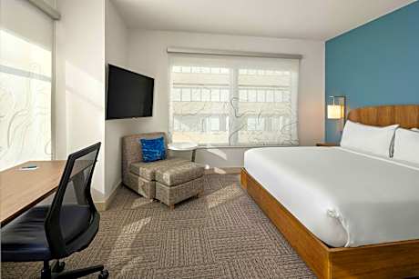 1 Bedroom Suite, 1 King, Sofa bed