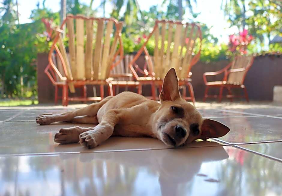 Bohol Hammock Hostel