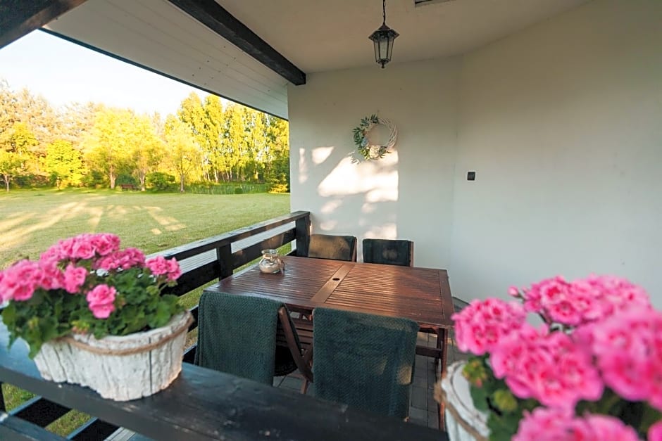 Domki Letniskowe Aleksandra