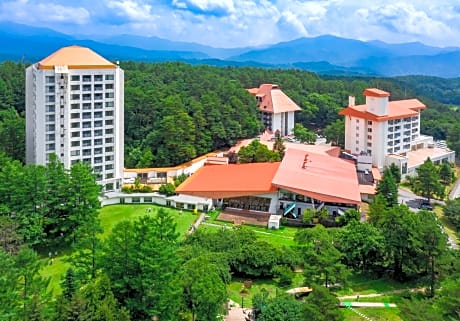 Kusatsu Onsen Hotel Village