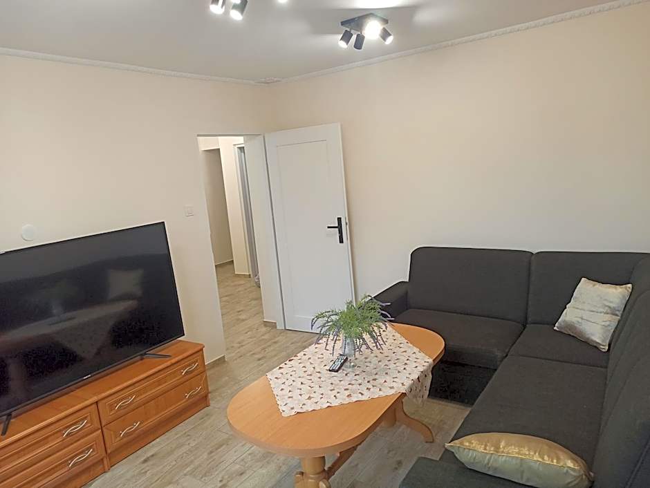 APARTAMENT CENTRUM Międzychód