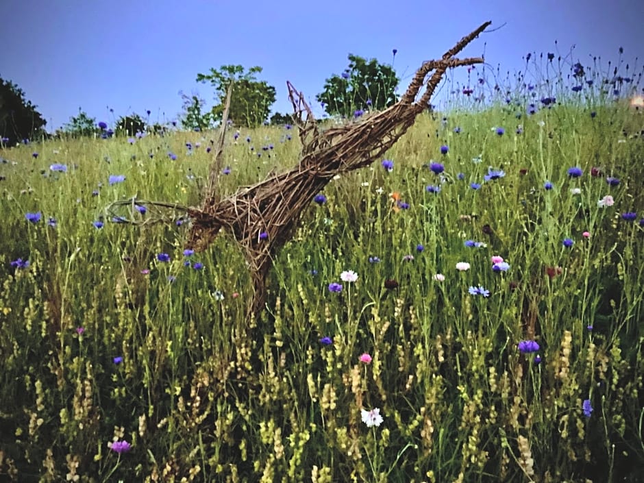 The old forge bed and breakfast