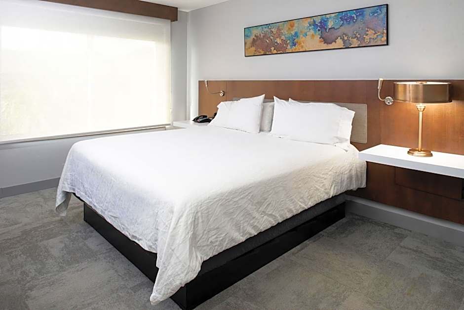 Hilton Garden Inn Baton Rouge Airport