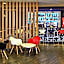 ibis Sao Paulo Morumbi