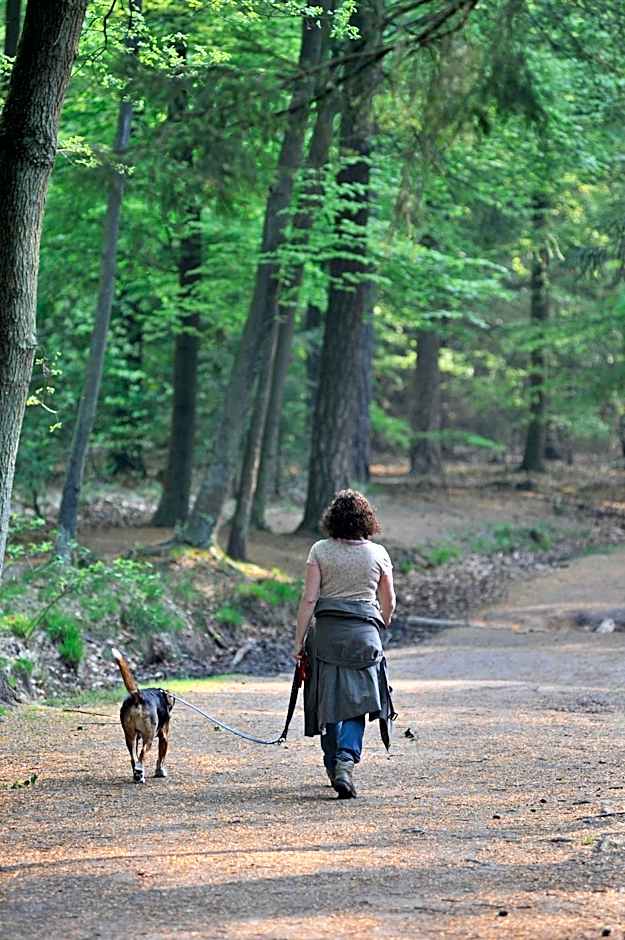 Parkhotel Mastbosch Breda