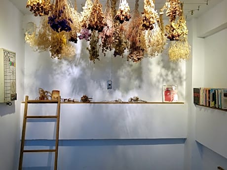 Old Man Captain Hostel II