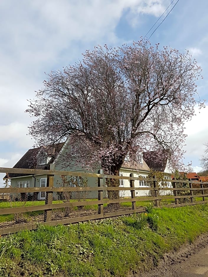 Spring Paddocks B&B