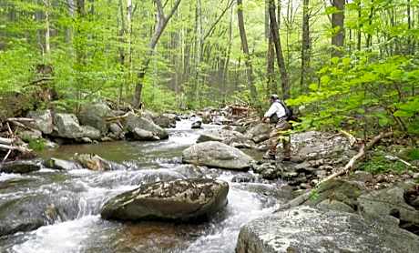 Pete's House (Pet friendly with add. fee)