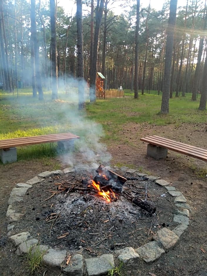 Leśniczówka-Wdzydze Pe eL