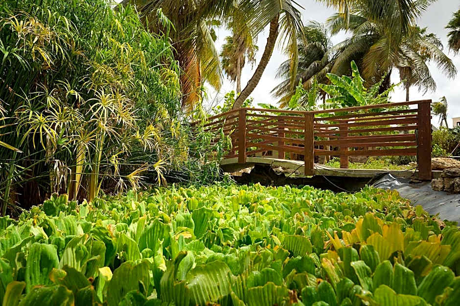 Captain Don's Habitat