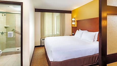 Accessible King Bed/Tub (with sofa bed)