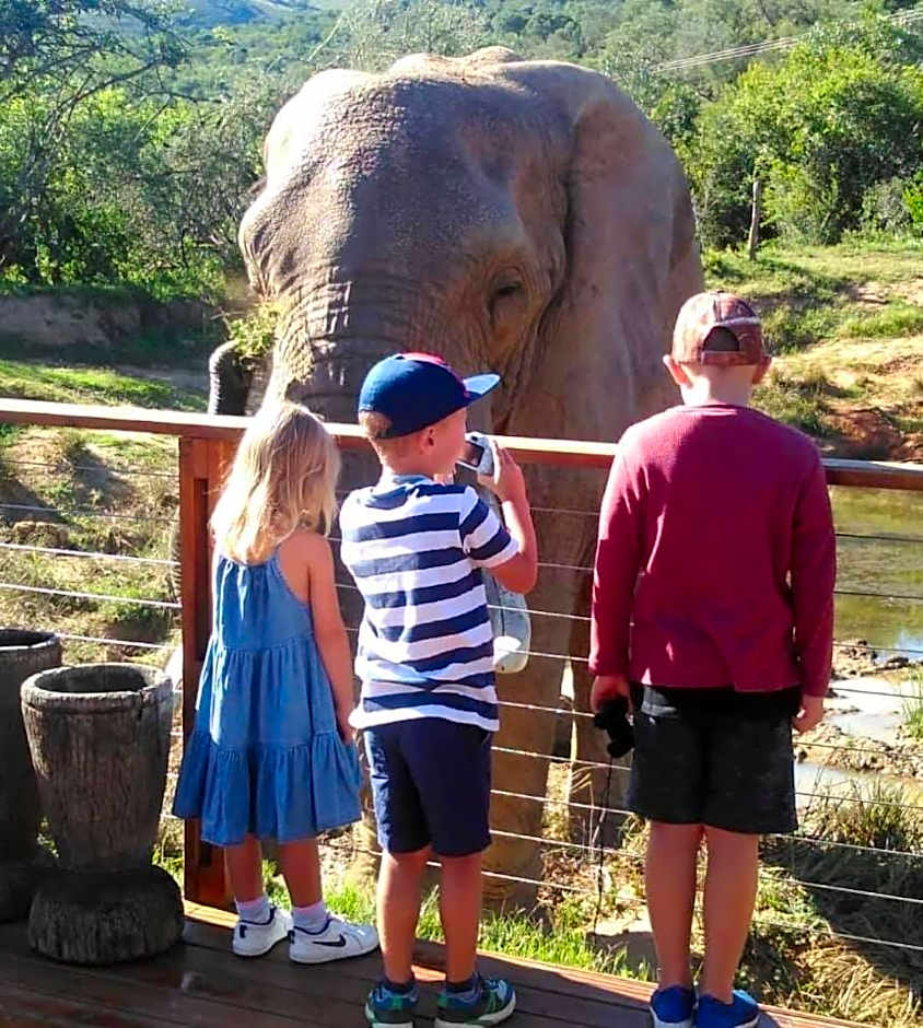 Barefoot Addo Elephant Lodge