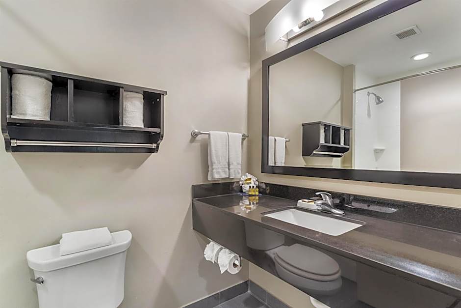 Best Western Plus Laredo Inn & Suites