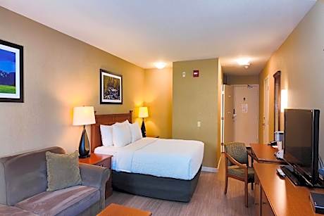 1 Queen Bed, Mobility Accessible Room, Bathtub w/ Grab Bars, Non-Smoking