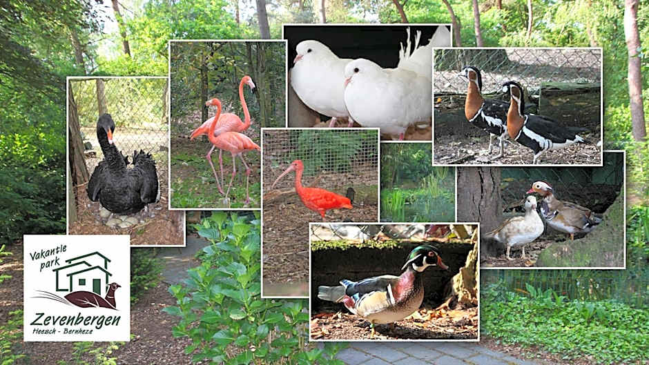 Vakantiepark Zevenbergen