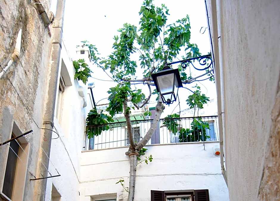 Il Claustro - Bed and breakfast