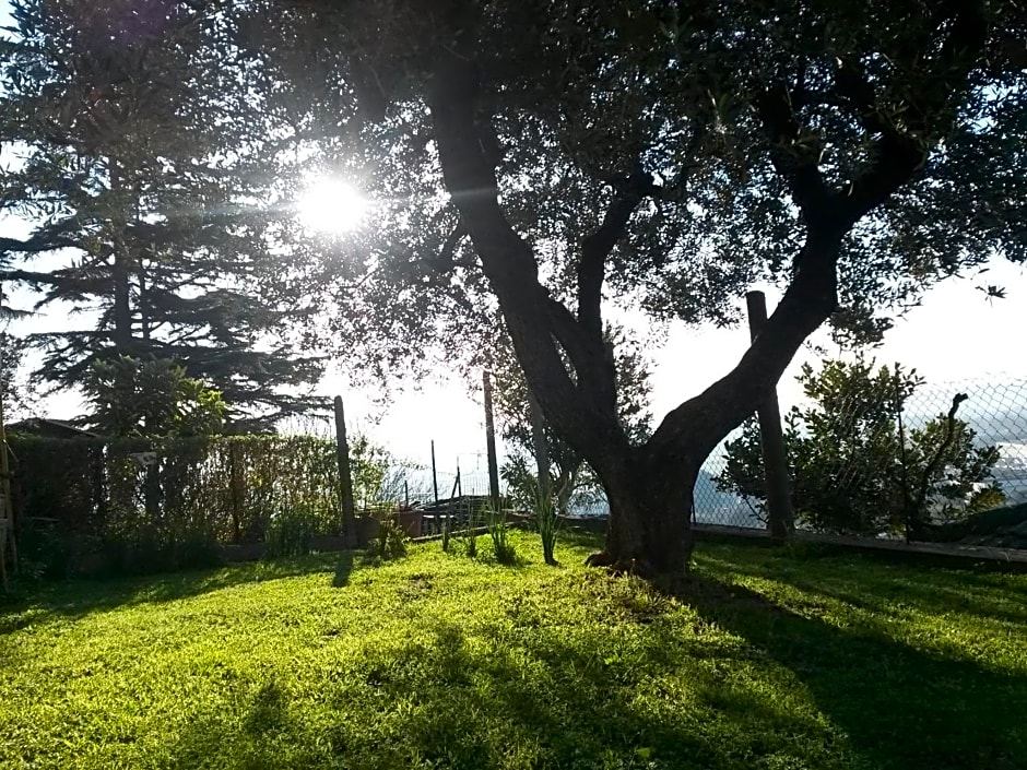 A1 Girasole B&B