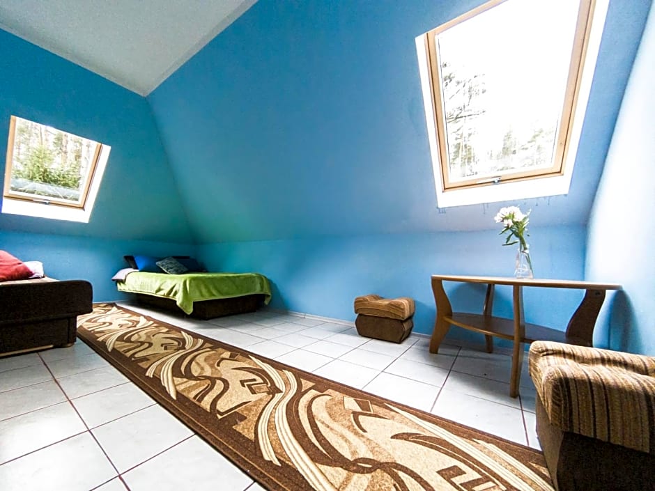 Domek letniskowy - jezioro Dadaj