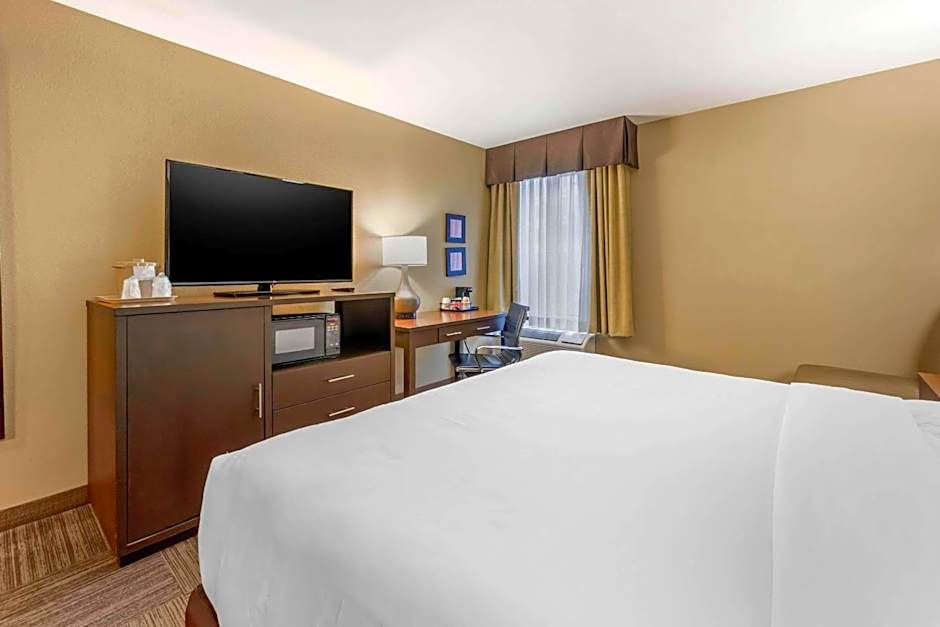 Comfort Inn & Suites Seatac