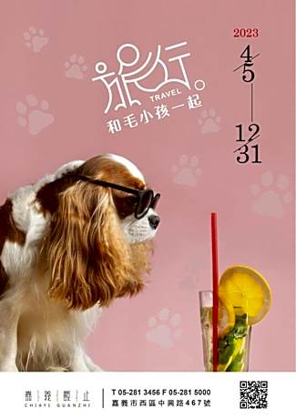 Pet-friendly Twin Room