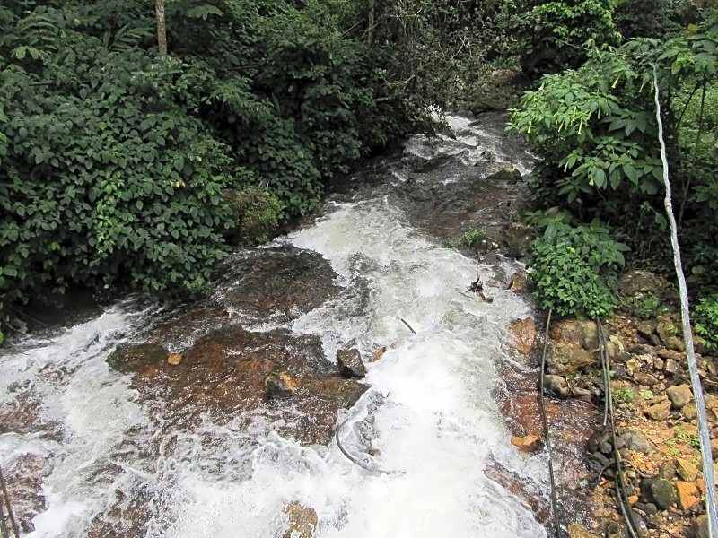 Neelakurunji Plantation Munnar
