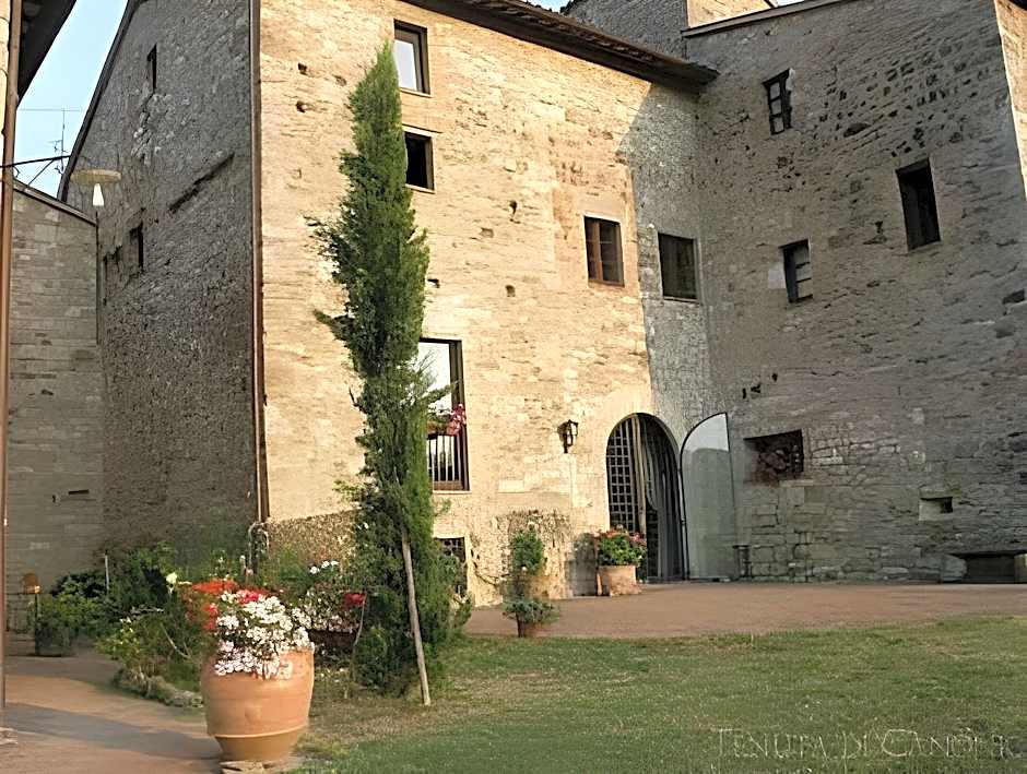 Tenuta Di Canonica