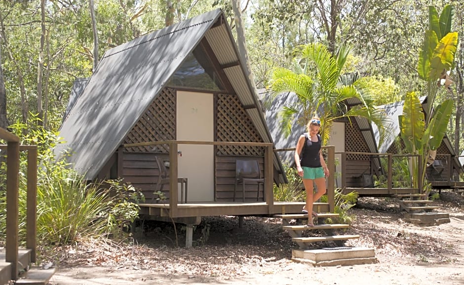 Koala Park by Bounce