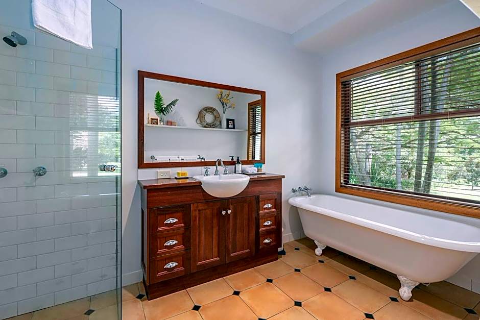 Cedia at Byron Bay Hinterland
