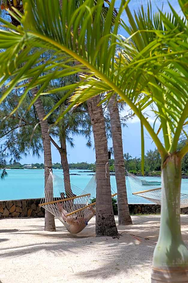 Lagoon Attitude (Adults Only)