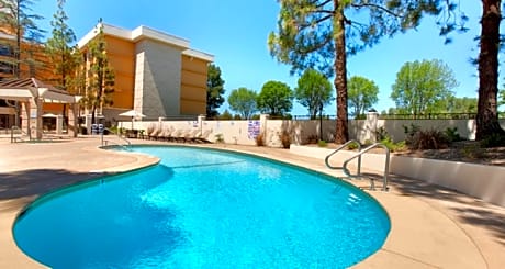 Hilton Stockton