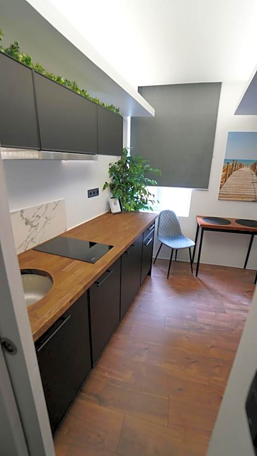 Suite morning star