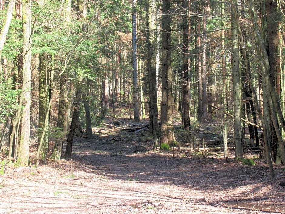 Le Clos d'Auré.